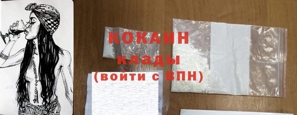 кокс Няндома
