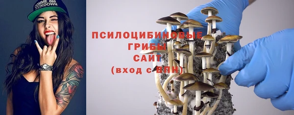 ПСИЛОЦИБИНОВЫЕ ГРИБЫ Новодвинск
