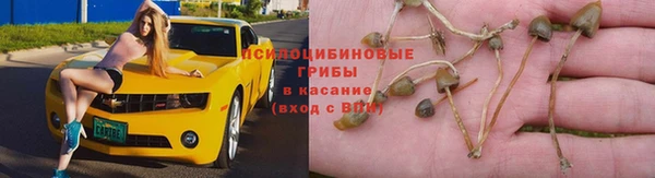 эйфоретик Домодедово