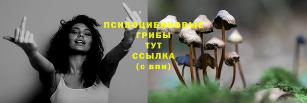 mdma Осинники