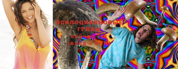 mdma Осинники