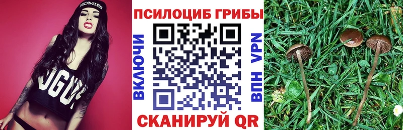 Псилоцибиновые грибы ЛСД  цены   Невельск 