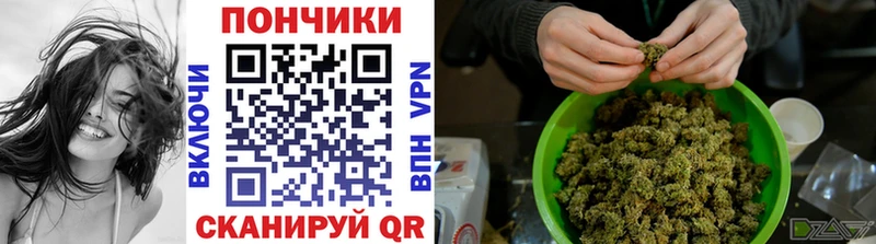 хочу   Невельск  Шишки марихуана планчик 